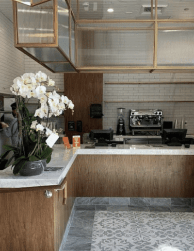 A coffee shop with a wooden counter and a potted plant.